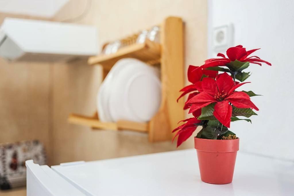 Apartamento Centro Vejer Вехер де ла Фронтера Екстериор снимка